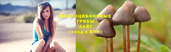 герыч Абаза