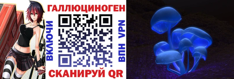 OMG как войти  Прохладный  Галлюциногенные грибы Magic Shrooms 
